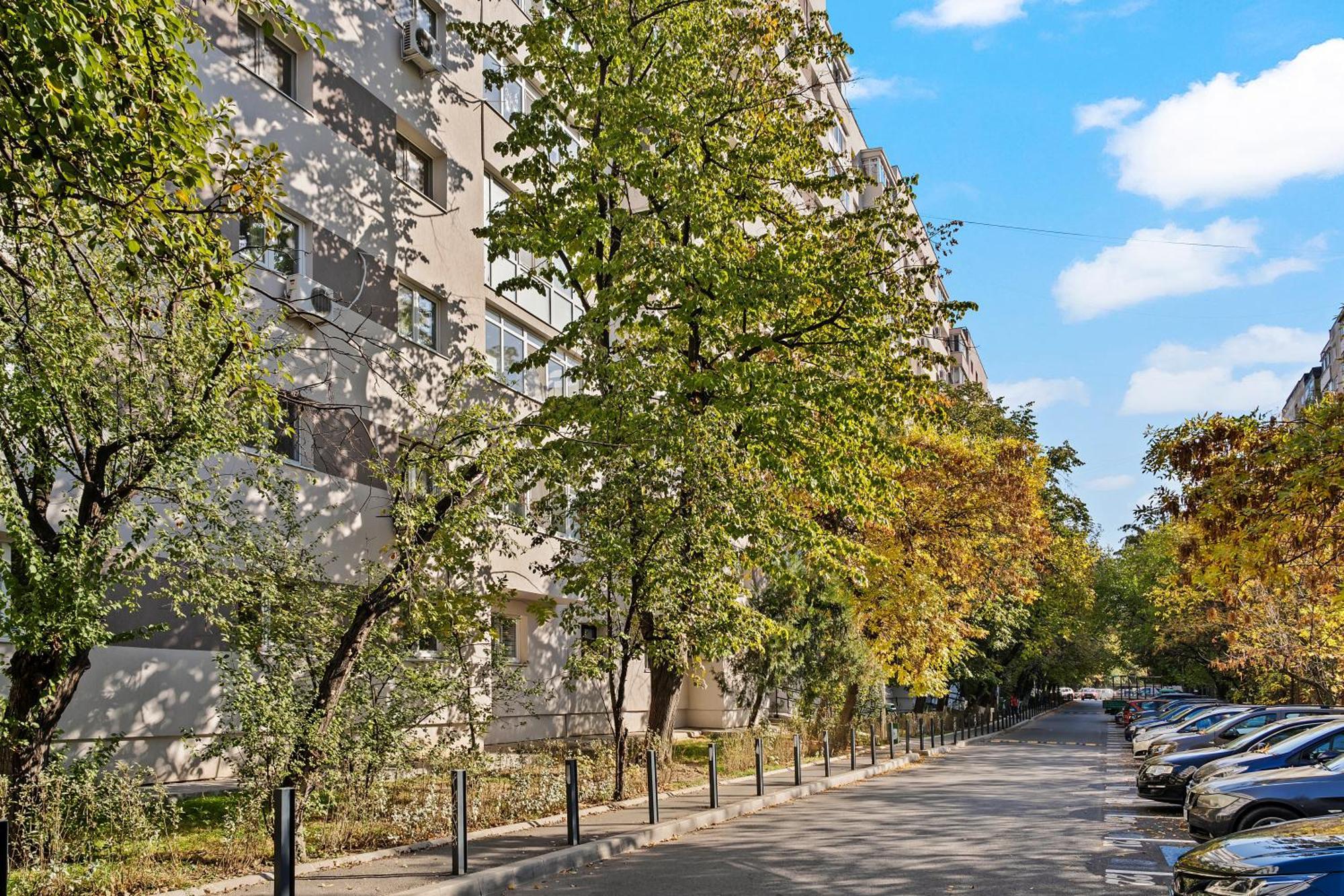 Garsoniera De Lux Si Eleganta Drumul Taberei بوخارست المظهر الخارجي الصورة
